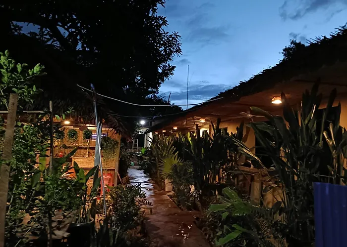 旅馆 Homesteading 暹粒