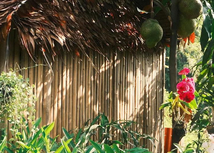 Homesteading Hostel *
