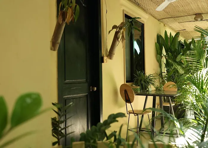Hostel Homesteading