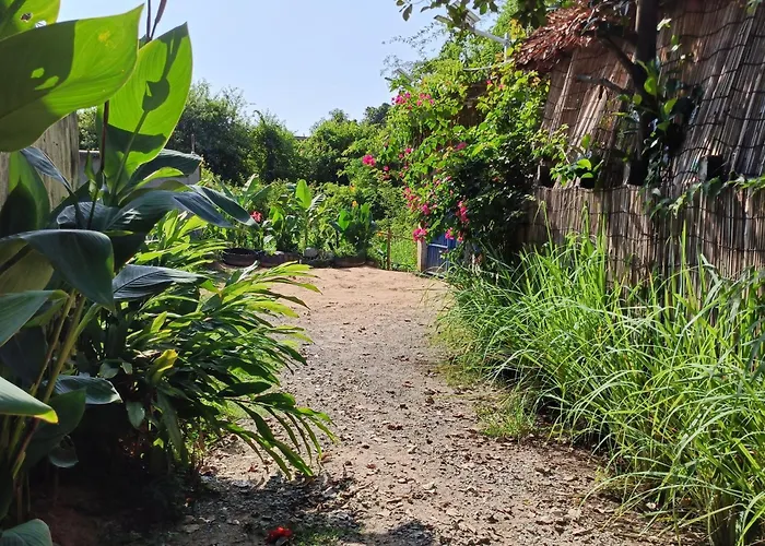 旅馆 Homesteading *