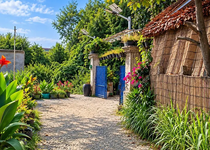 Homesteading 旅馆