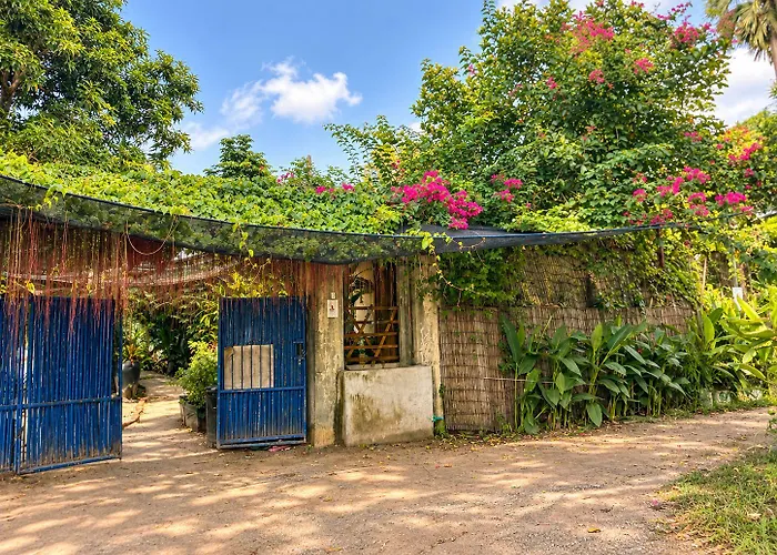 Homesteading * Siem Reap