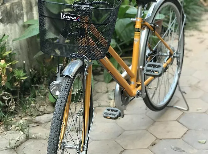 Homesteading 旅馆 *