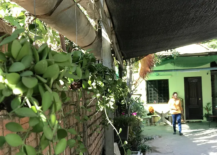 Hostel Homesteading *